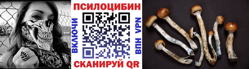 Галлюциногенные грибы мицелий  Собинка 